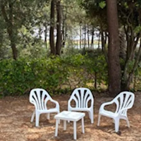 Ferienhaus Proche Avec Jardin, Terrasse Et Wifi – - Fr-1-22-272
